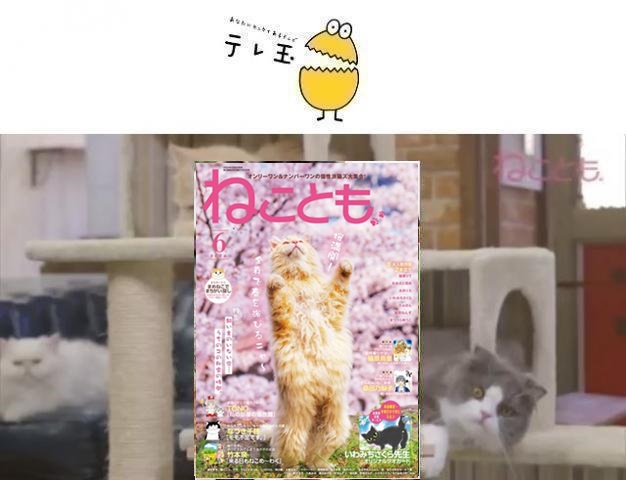 64422342019c47.24003874