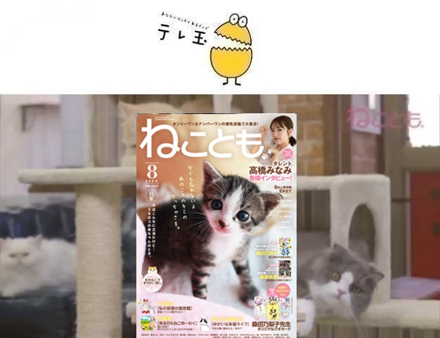 64af52fd7b43f1.37444589