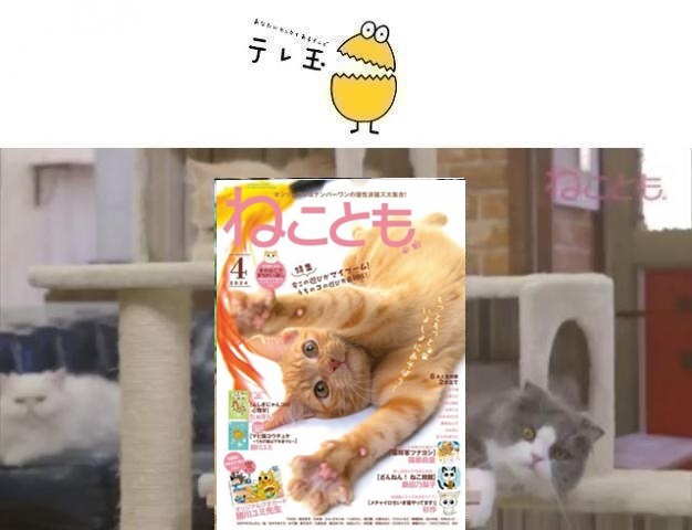 64af52fd7b43f2.37444589