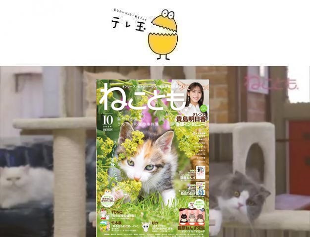 64af52fd7b43f3.37444589