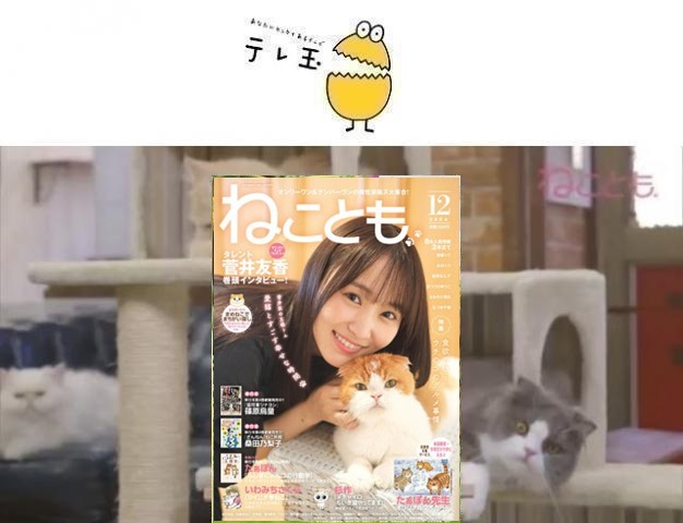 64af52fd7b43f4.37444589