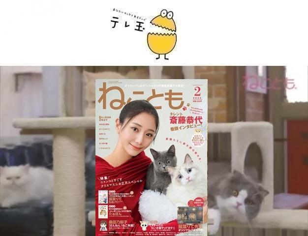 64af52fd7b43f5.37444589