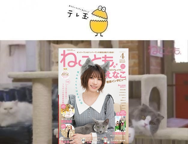 64af52fd7b43f6.37444589