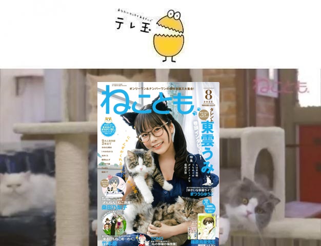 64af52fd7b43f7.37444589