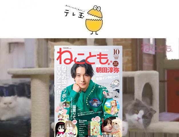 64af52fd7b43f8.37444589