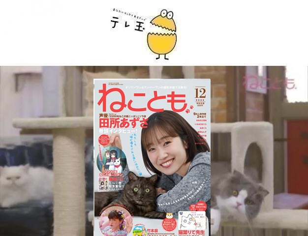 64af52fd7b43f9.37444589