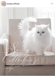 67ef6bf48d88c9.47069281