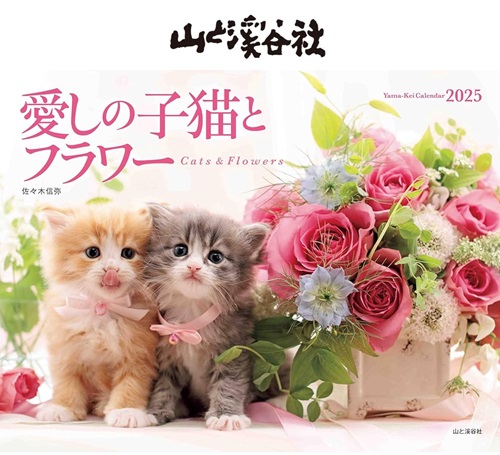 81qvrSPDqCL._AC_UF10001000_QL80_