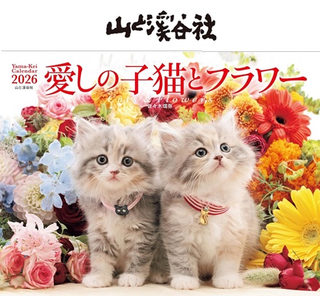 81xbK6vyeXL._SL1500_