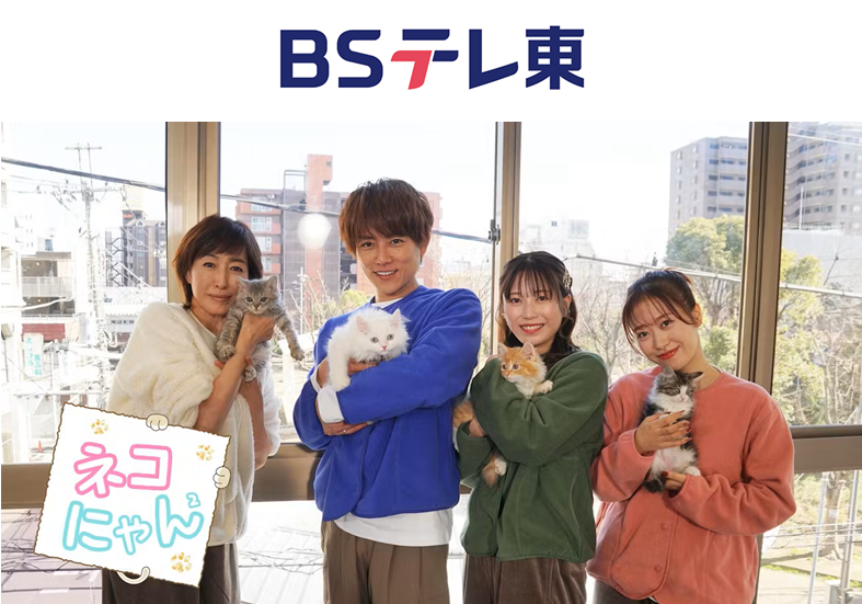 cf0de565919a06660664fbbd3bd4