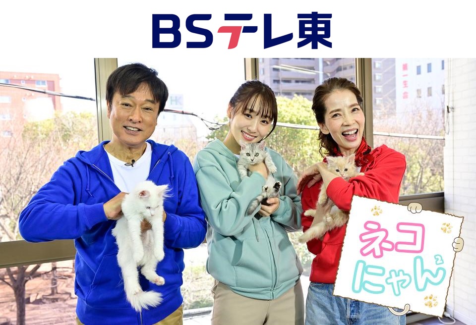 d70e695d291a3190219058991717