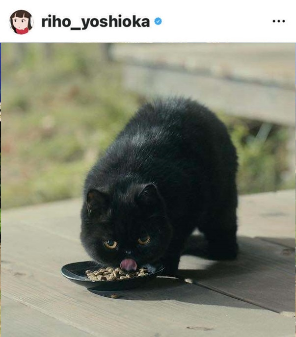 f0c7531535aa8ee85e37d79cb6f34fdc_2